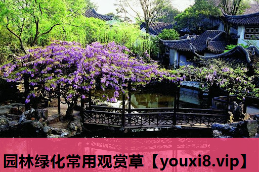 园林绿化常用观赏草