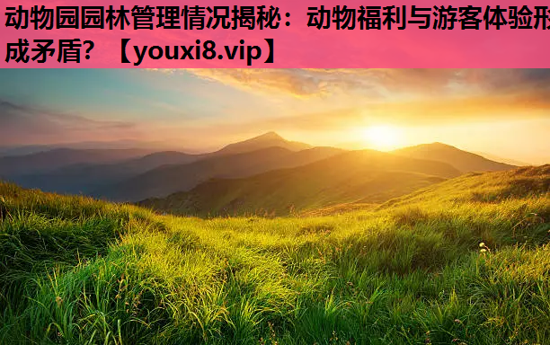 动物园园林管理情况揭秘：动物福利与游客体验形成矛盾？