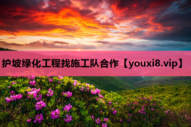 护坡绿化工程找施工队合作