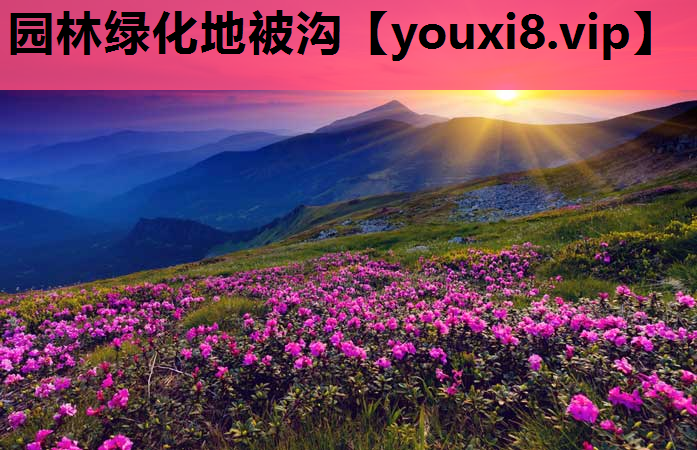 园林绿化地被沟