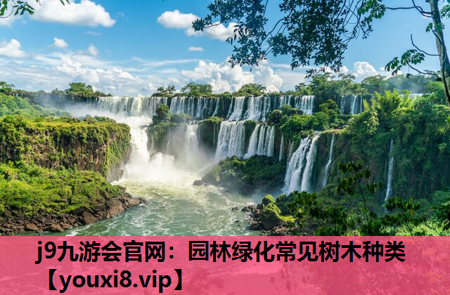 j9九游会官网：园林绿化常见树木种类