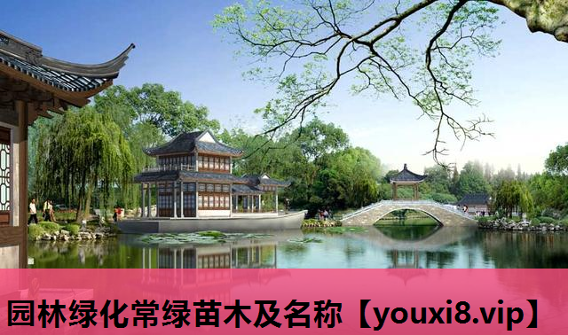 园林绿化常绿苗木及名称