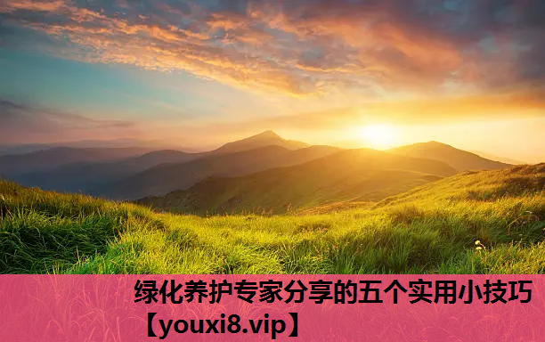 绿化养护专家分享的五个实用小技巧
