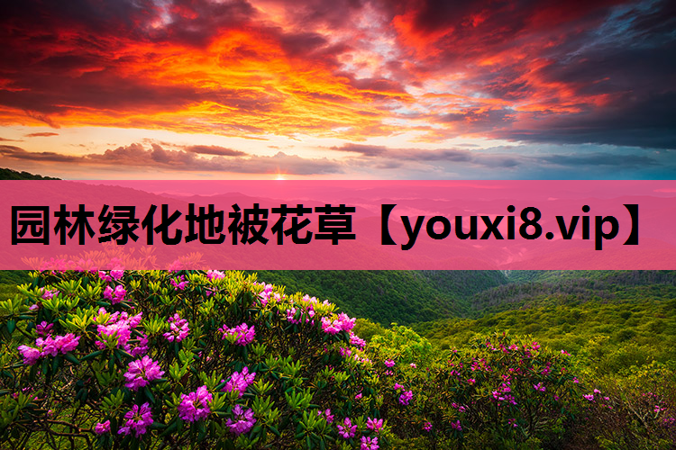 园林绿化地被花草