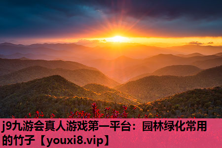 j9九游会真人游戏第一平台：园林绿化常用的竹子