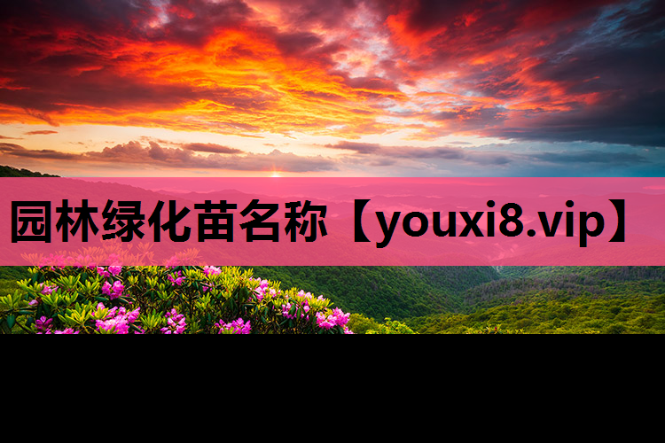 园林绿化苗名称