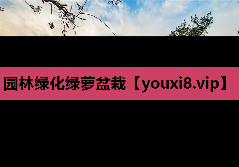 园林绿化绿萝盆栽