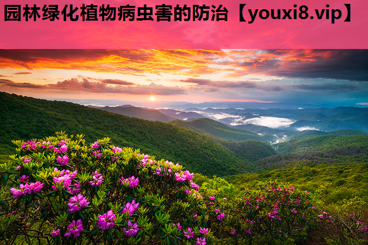 园林绿化植物病虫害的防治