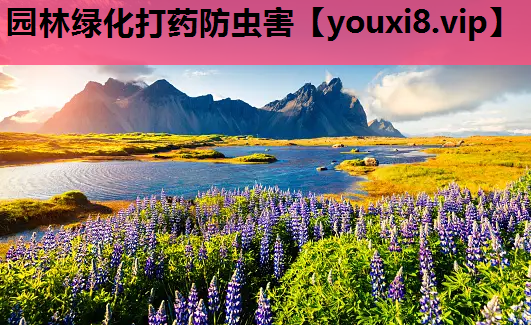 园林绿化打药防虫害