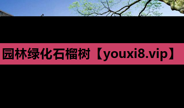 园林绿化石榴树