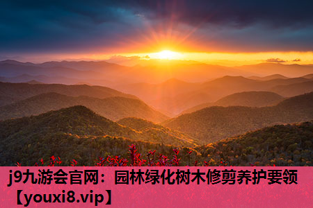 j9九游会官网：园林绿化树木修剪养护要领