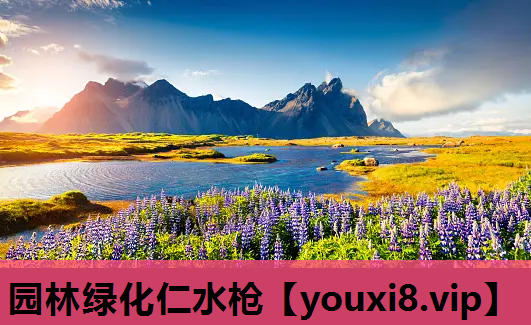 园林绿化仁水枪