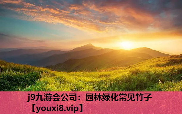 j9九游会公司：园林绿化常见竹子