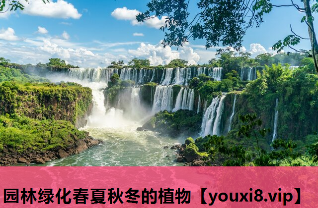 园林绿化春夏秋冬的植物