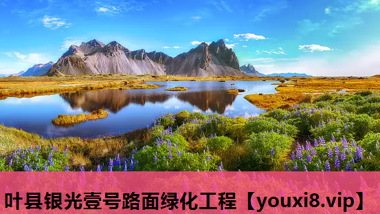 叶县银光壹号路面绿化工程